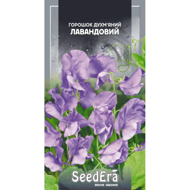 Горошок Духмяний Лавандовий 1г, Seedera