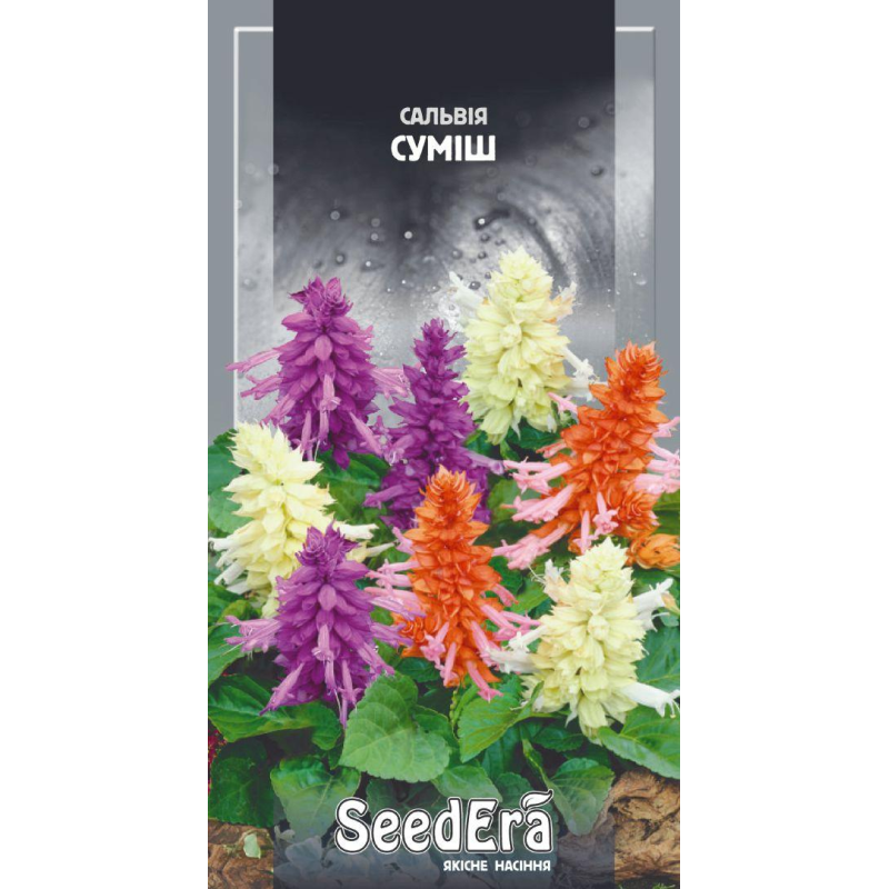 Сальвія Блискуча Суміш 0,2 г, Seedera
