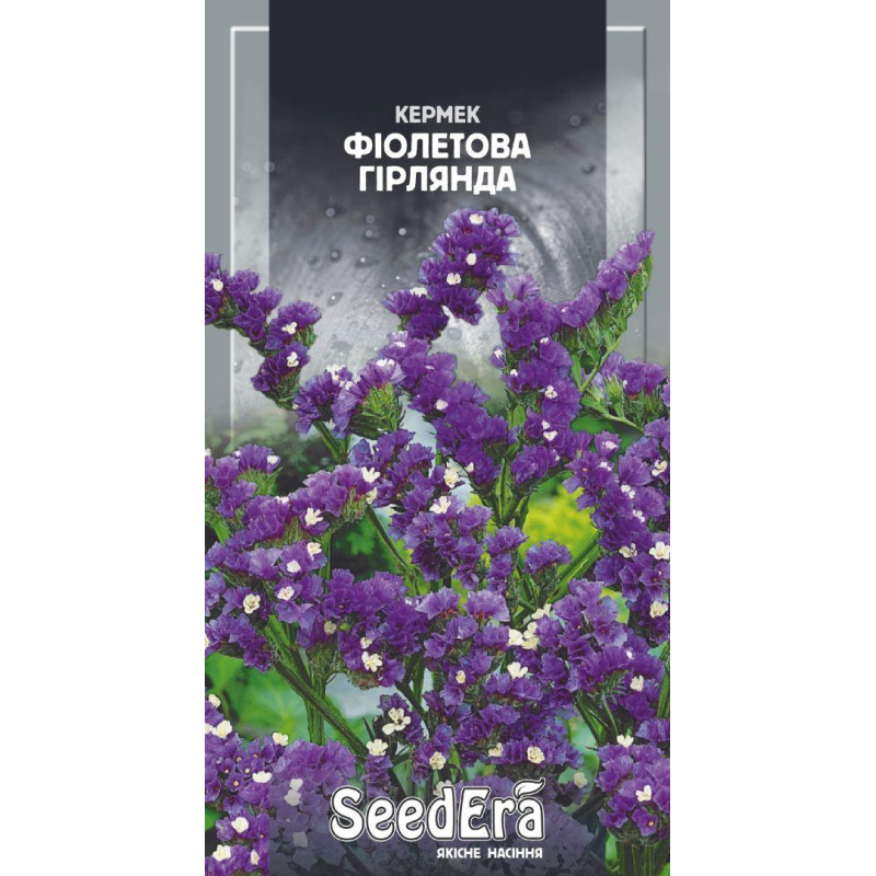 Кермек Виїмчатий Фіолетова Гірлянда 0,2 г, Seedera