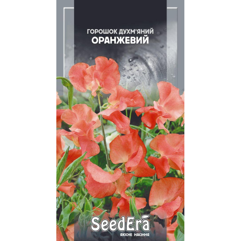 Горошок Духмяний Оранжевий 1г, Seedera