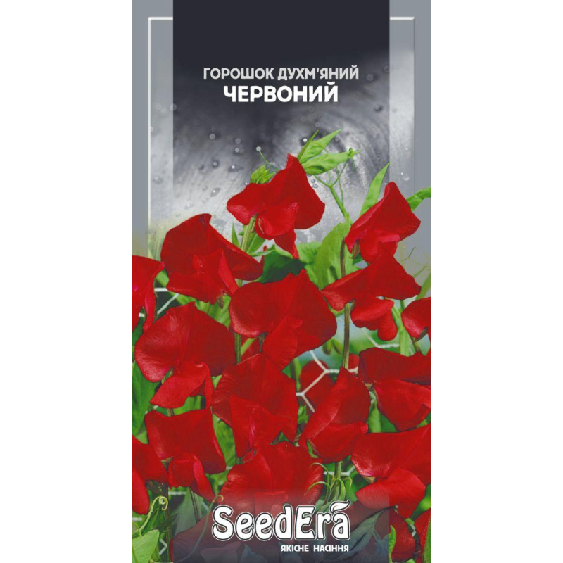 Насіння квітів Горошок запашний Червоний, 1 г, Seedera