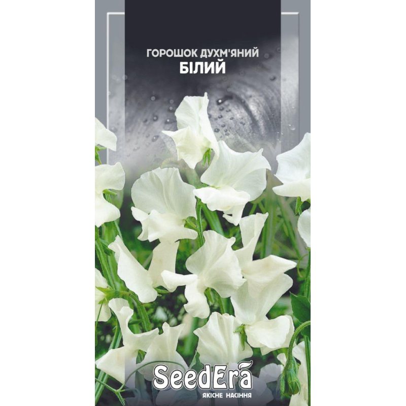 Насіння квітів Горошок запашний Білий, 1г, Seedera