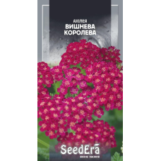 Ахілея Вишнева Королева, 0,1г, Седера