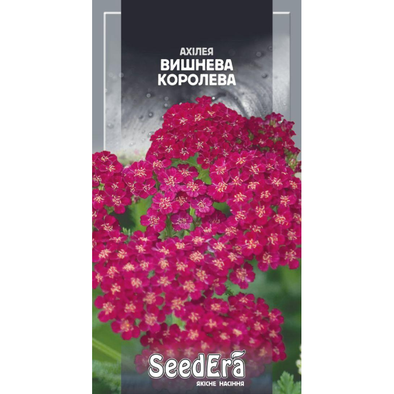 Ахілея Вишнева Королева, 0,1г, Седера