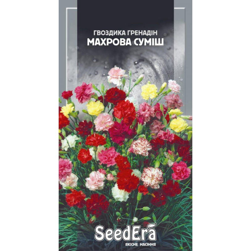 Насіння Гвоздика Гренадін Махрова Суміш, 0,3 г