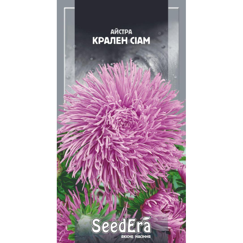 Айстра Високоросла Крален Сіам, 0,25 г