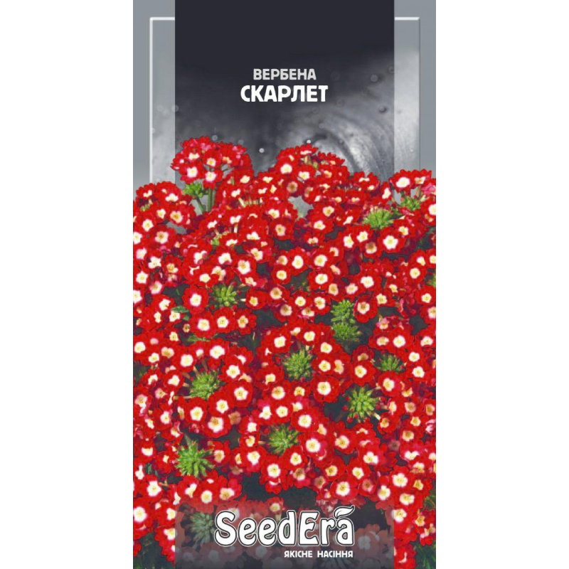 Вербена Гібридна Скарлет 0,2 г, Seedera