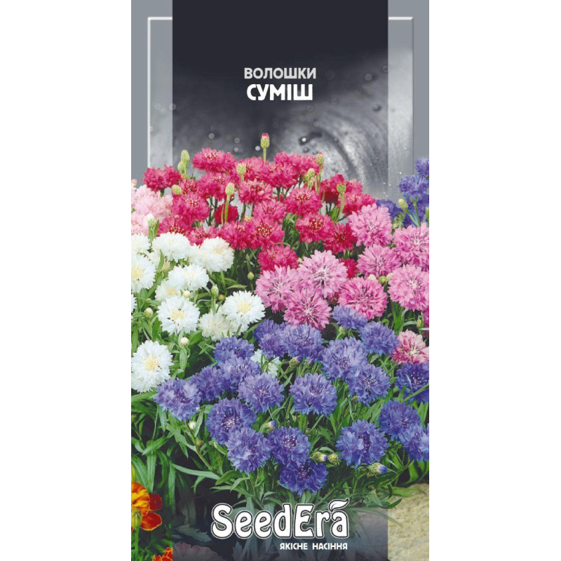 Волошки Польові Суміш 0,5 г, Seedera