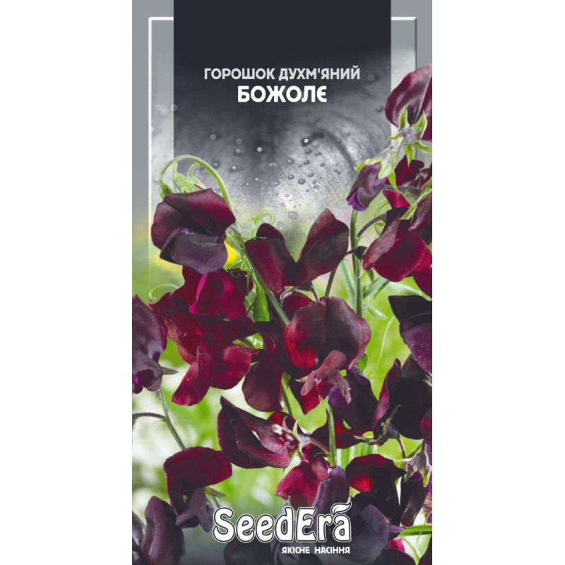 Горошок Духмяний Божолє, 1г, Seedera