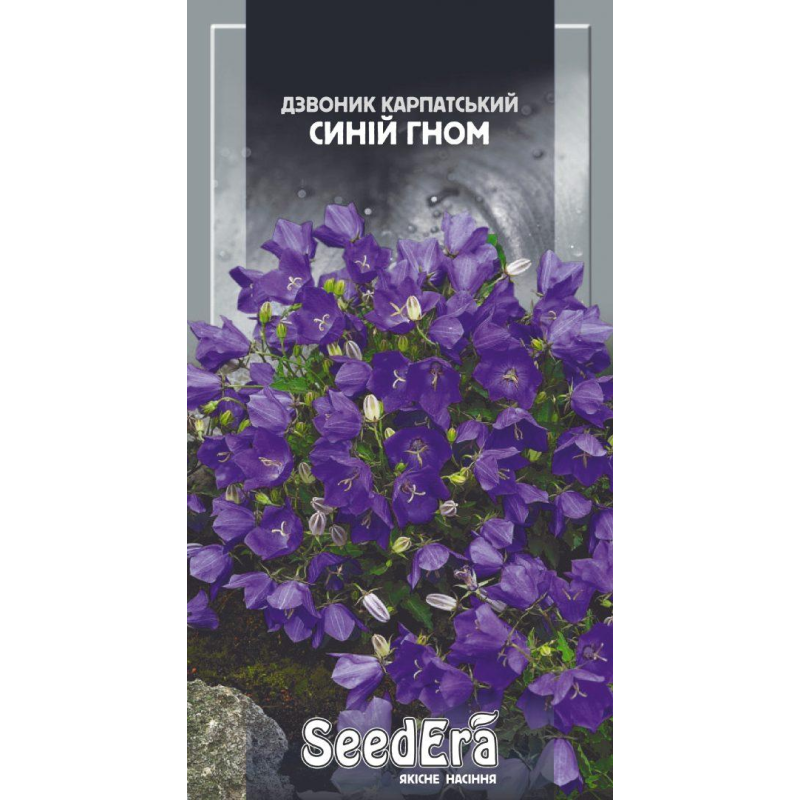 Дзвоник Карпатський Синій Гном 0,1г, Seedera
