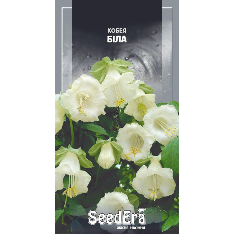 Кобея Біла 0,25 г, Seedera