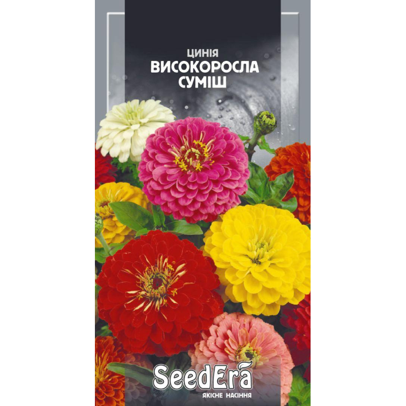 Насіння Цинія Високоросла Елегантна Суміш, 0,5г, Seedera Насіння Цинія Високоросла Елегантна Суміш, 0,5г, Seedera