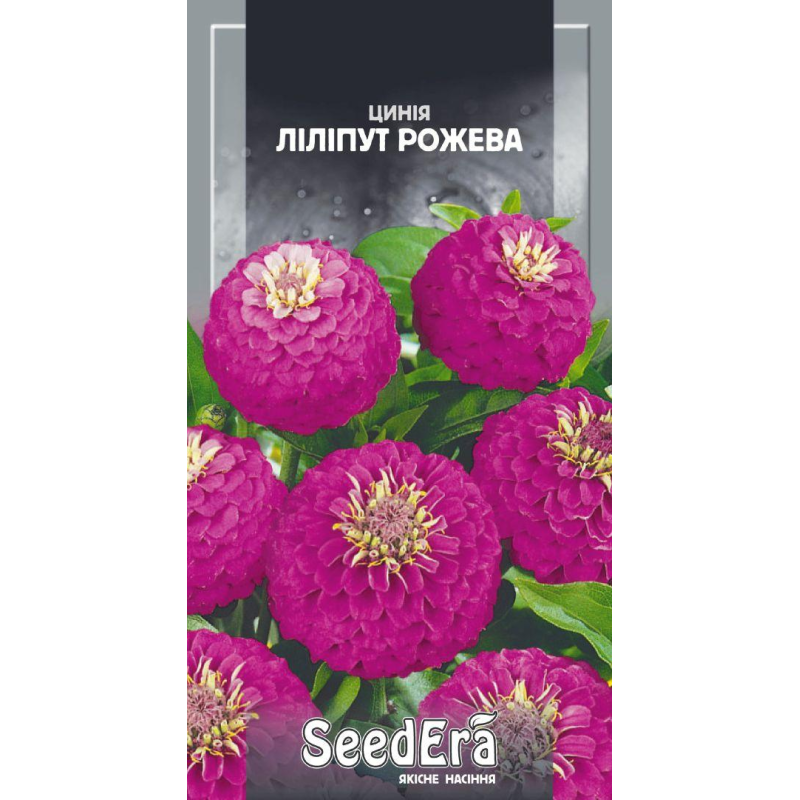 Цинія Ліліпут Рожева, 0,5 г, Seedera
