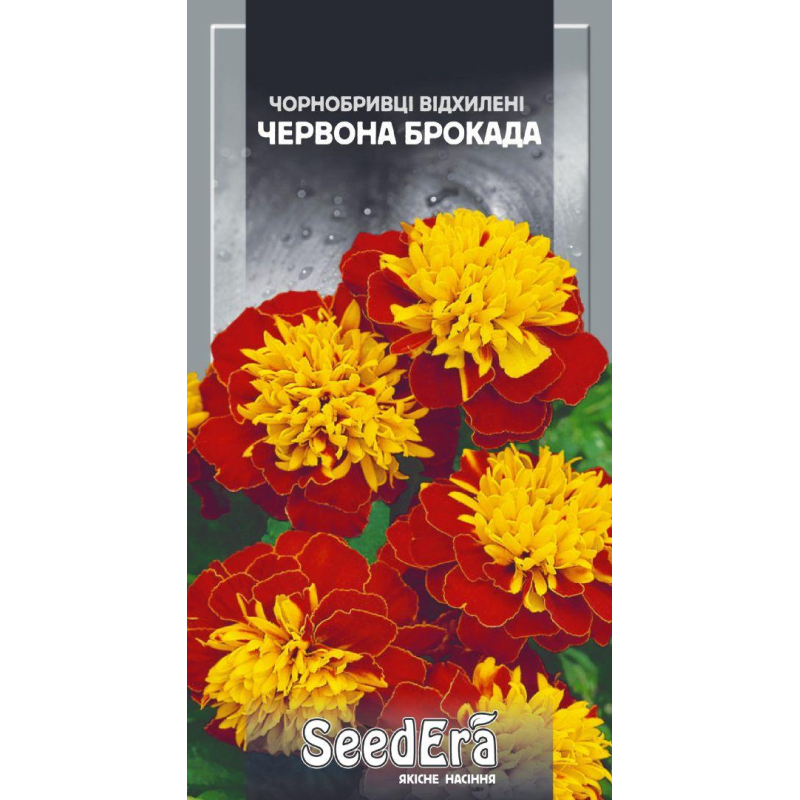 Насіння Оксамитове Червоне Брокада 0,5 г, Seedera