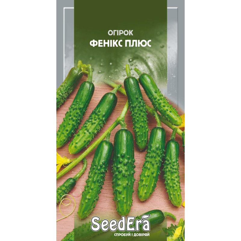 Огірок Фенікс Плюс 1 г, Seedera