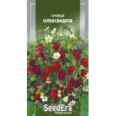 Насіння ремонтантне суниця Александрія, 0,05 г, Seedera