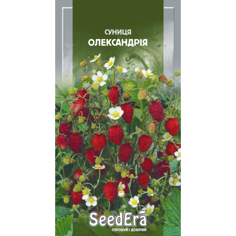 Насіння ремонтантне суниця Александрія, 0,05 г, Seedera