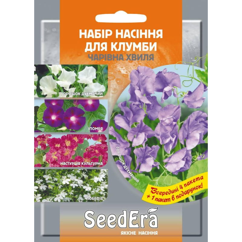 Набір квітів фіолетовий “Чарівна хвиля”  4+1