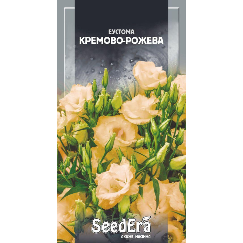 Насіння квітів Еустома Кремово-рожева, 10 шт, Seedera
