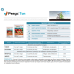 Фунгіцид Ревус Топ 6мл (оригінал), Syngenta