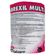 Brexil Multi (Брексил Мульти), 1 кг, Valagro, добриво (Валагро, Італія)