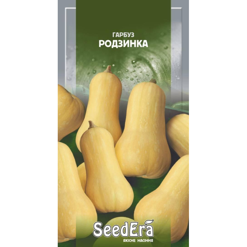Насіння Гарбуз Родзинка 2г, Seedera