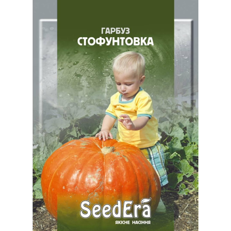 Насіння Гарбуз Стофунтовка 3г, Seedera