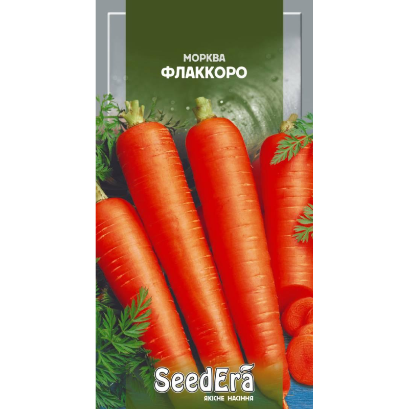 Насіння Морква Столова Флаккоро, 2г, Seedera