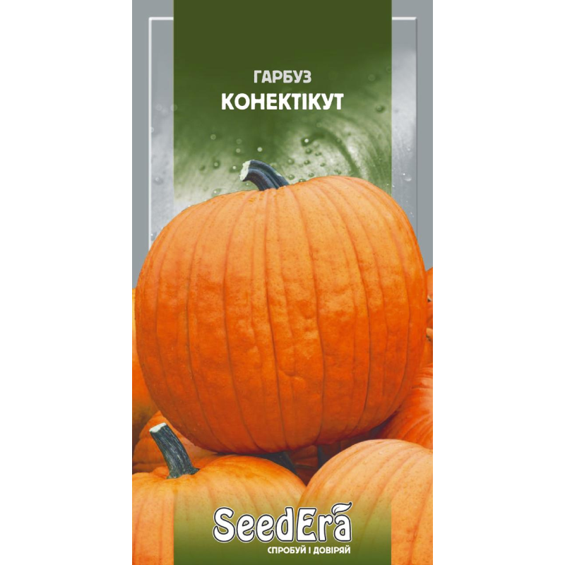 Насіння Гарбуз Конектікут 2 г, Seedera