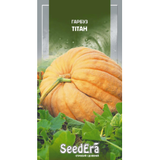 Насіння Гарбуз Тітан 2г, Seedera