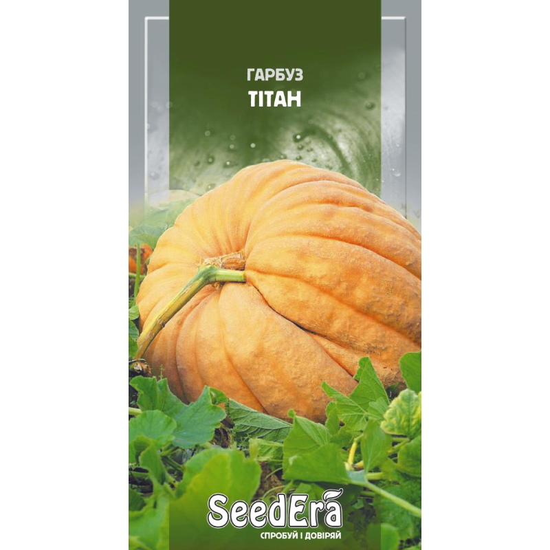 Насіння Гарбуз Тітан 2г, Seedera