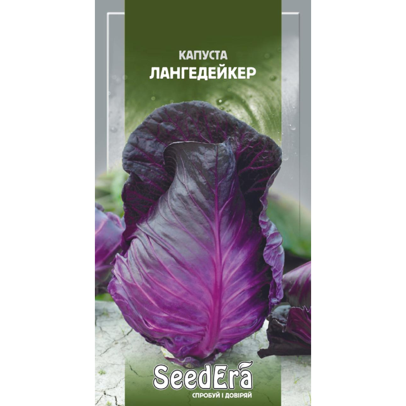 Насіння Капуста Червоноголова Лангедейкер 0.5 г, Seedera