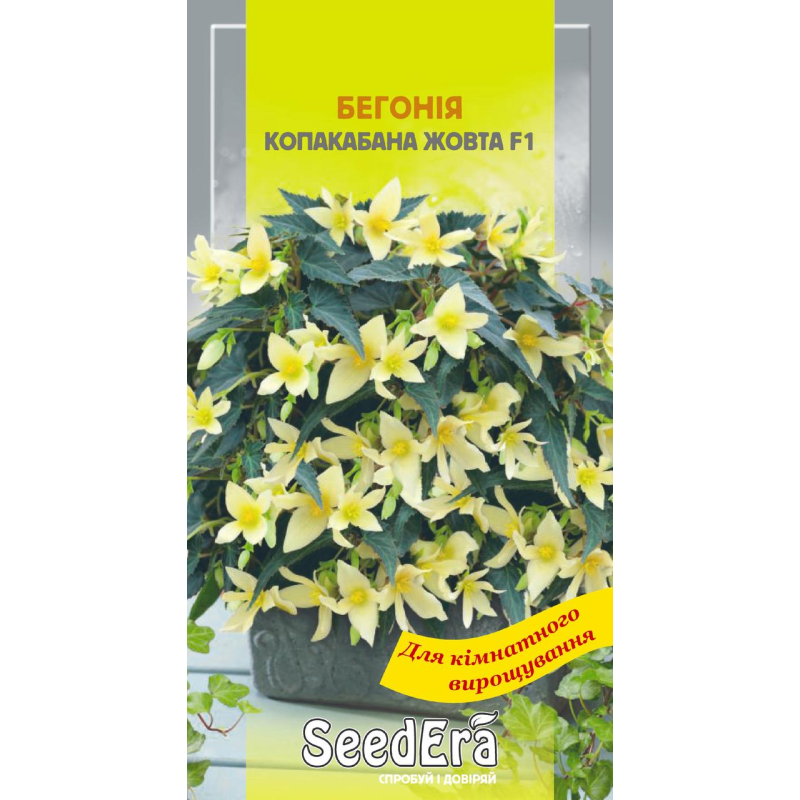 Бегонія Болівійська Копакабана Жовта F1, 5 шт, Seedera