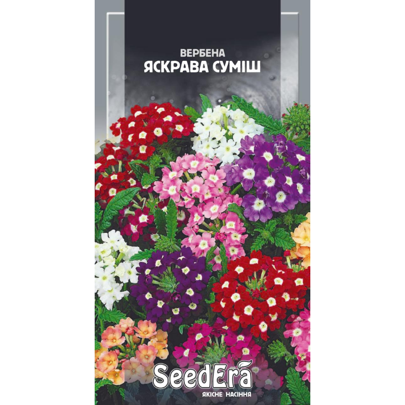 Насіння Вербена Гібридна Яскрава Суміш 0,2 г, Seedera