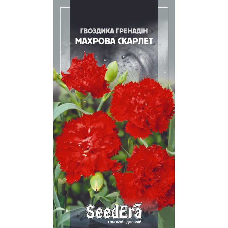 Насіння Гвоздика Гренадін Махрова Скарлет, 0,2 г