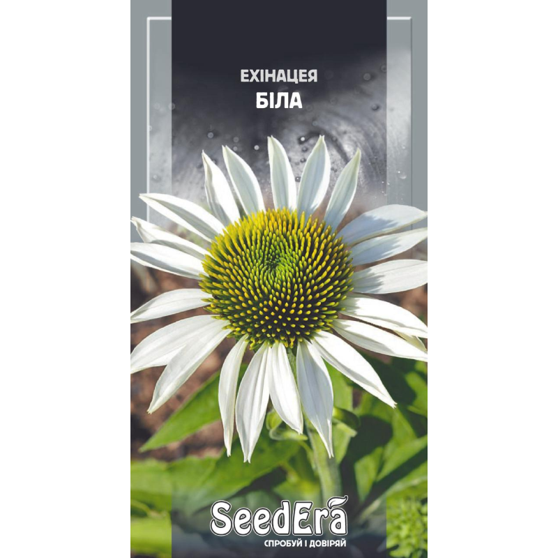 Насіння квітів Ехінацея Біла багаторічна, 0,3 г, Seedera