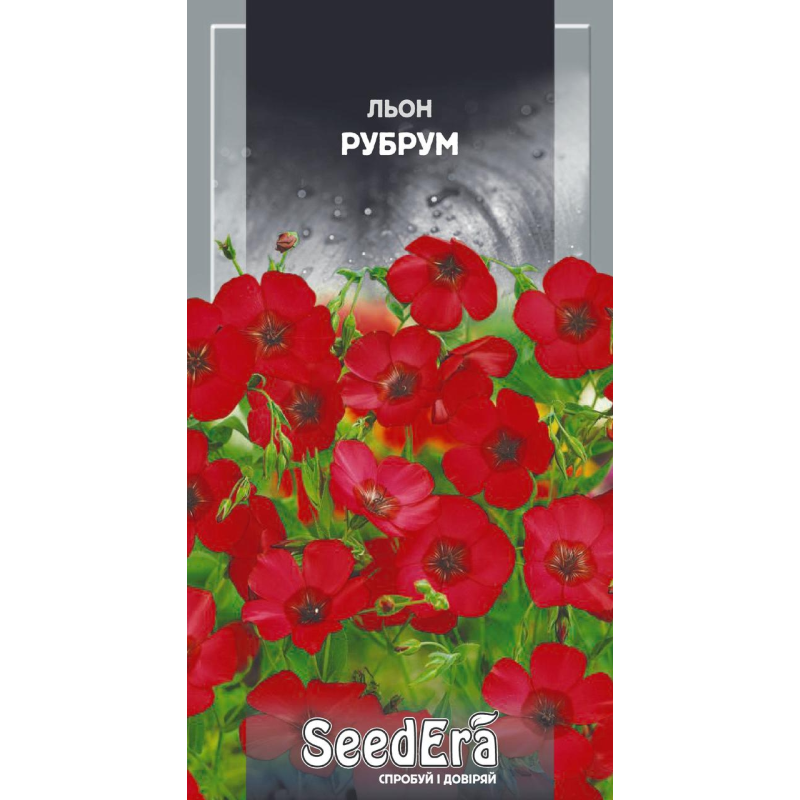 Насіння квітів Льон Рубрум 0,5 г, Seedera