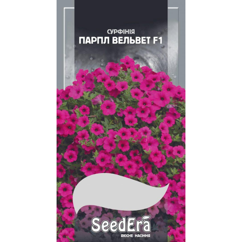 Петунія Ампельна Парпл Вельвет F1  10шт, Seedera