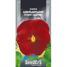 Насіння Фіалка Садова Дворічна Швейцарський Гігант Скарлет, 0,1 г, Seedera