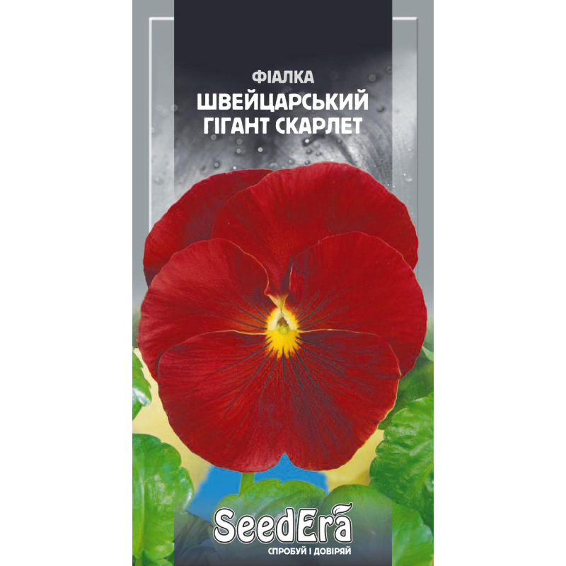Насіння Фіалка Садова Дворічна Швейцарський Гігант Скарлет, 0,1 г, Seedera