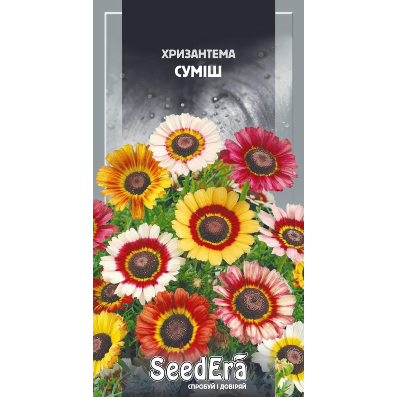Насіння  Хризантема суміш 0,2 г, Seedera
