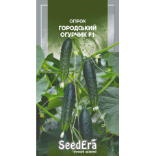 Огірок Городський Огурчик F1, 10шт, Seedera