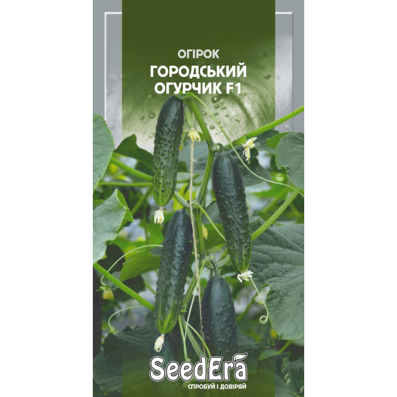 Огірок Городський Огурчик F1, 10шт, Seedera