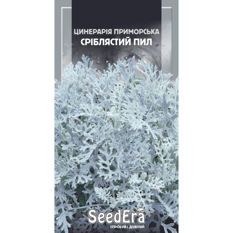 Насіння Цинерарія Приморська Сріблястий Пил г, Seedera