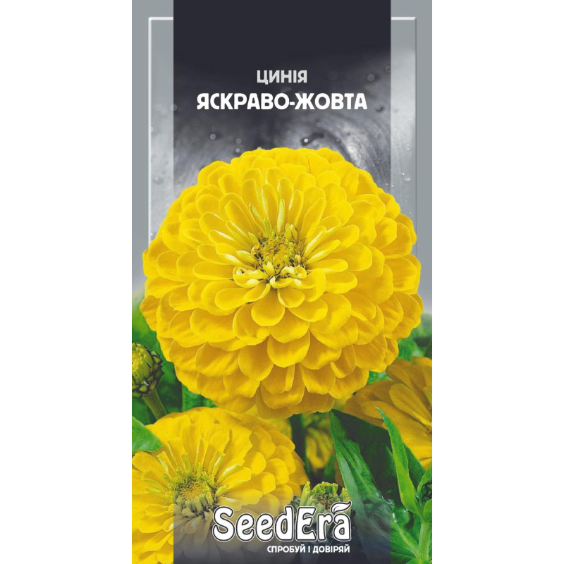 Насіння квітів Цинія (Майори) Високоросле елегантне яскраво-жовта, 0,5 г, Seedera