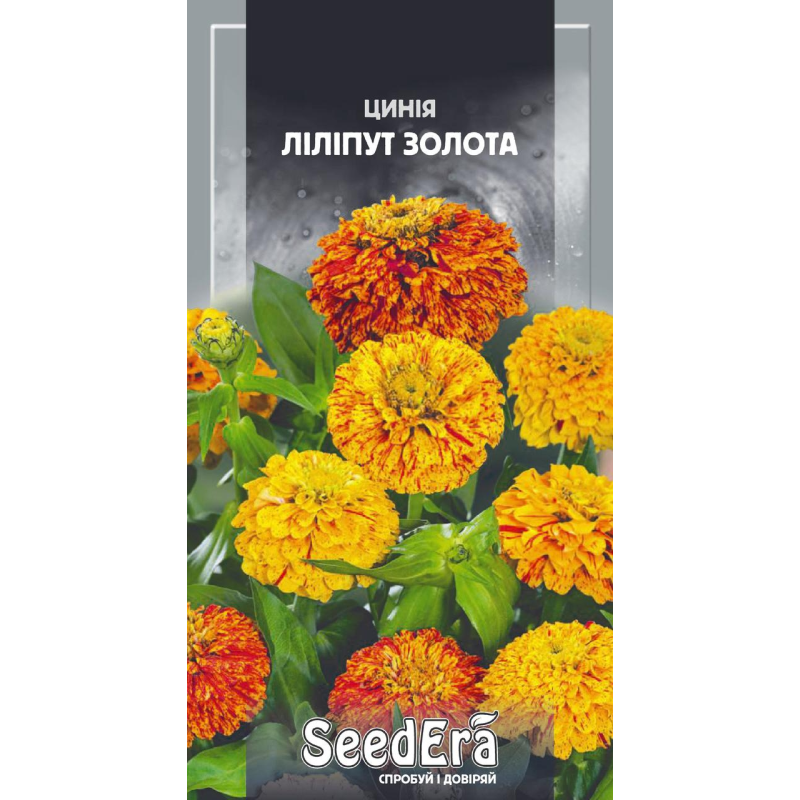 Насіння квітів Цінія Ліліпут елегантна золота (Майорі), 0,5 г, Seedera