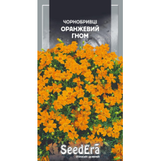 Насіння Чорнобривці Низькорослі Вузьколисті Оранжевий Гном 0,1г, Seedera