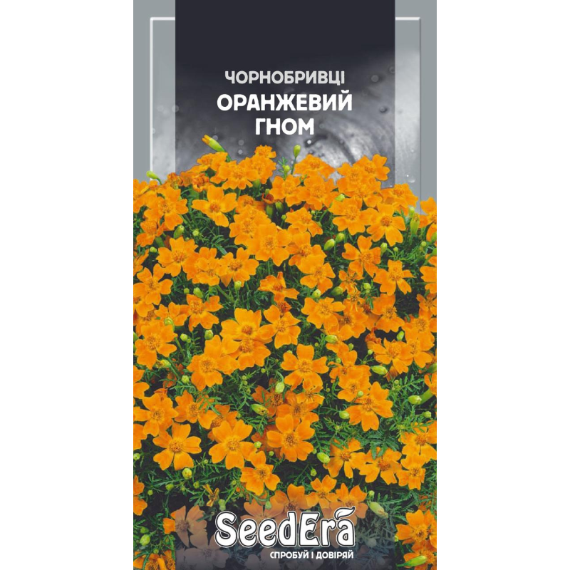 Насіння Чорнобривці Низькорослі Вузьколисті Оранжевий Гном 0,1г, Seedera