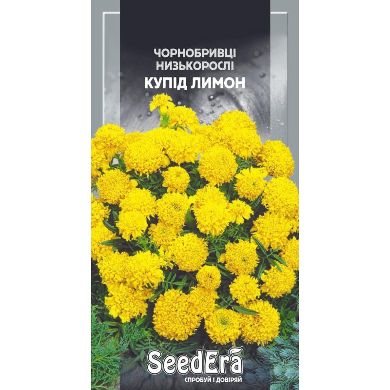 Насіння Чорнобривці Низькорослі Купід Лимон 0,5 г, Седера