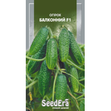Насіння Огірок Балконний F1 10шт, Seedera